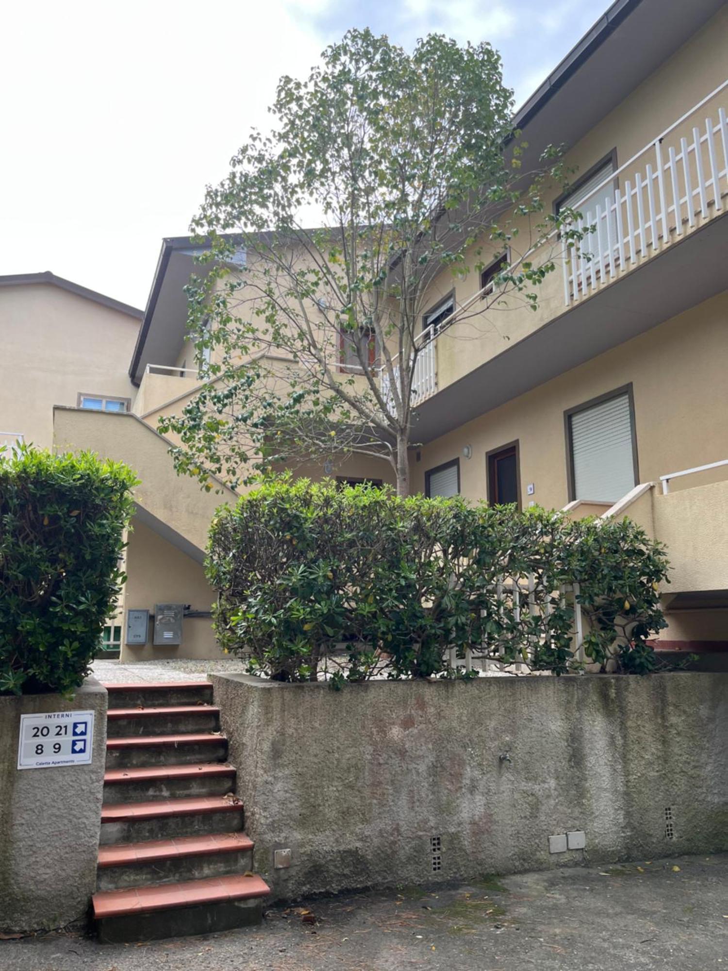 Caletta Apartments Castiglioncello Extérieur photo
